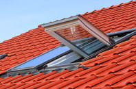 Cargan roof window